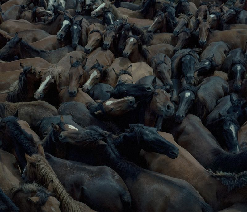 © Carlos Folgoso Sueiro - Image from the Alén do lago photography project