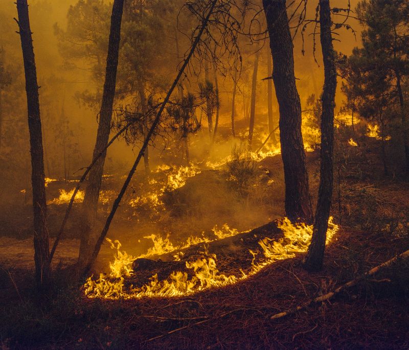 © Carlos Folgoso Sueiro - Image from the Alén do lago photography project