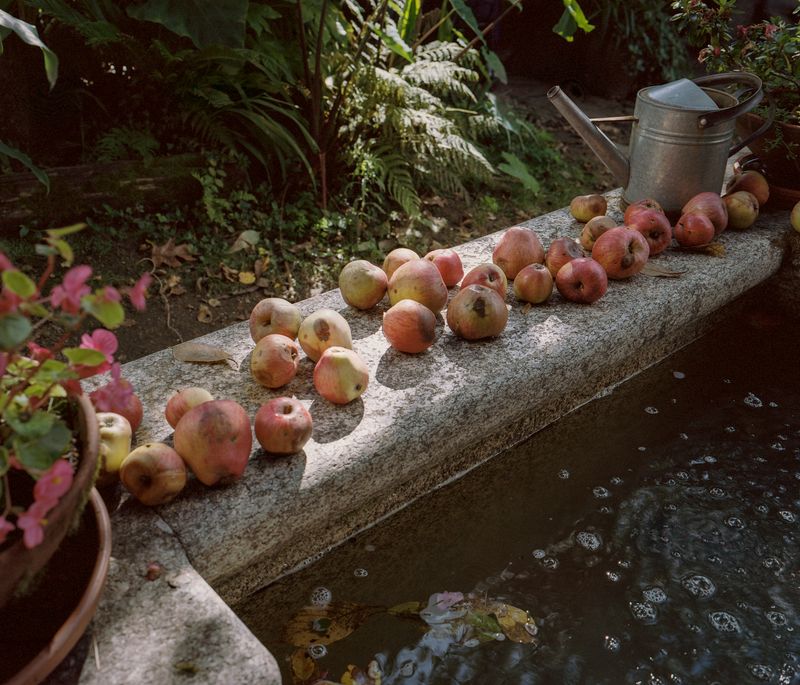 © Carlos Folgoso Sueiro - Image from the Alén do lago photography project