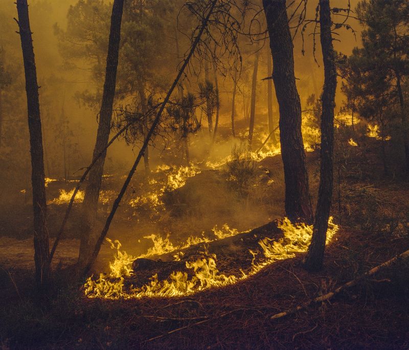 © Carlos Folgoso Sueiro - Image from the Alén do lago photography project
