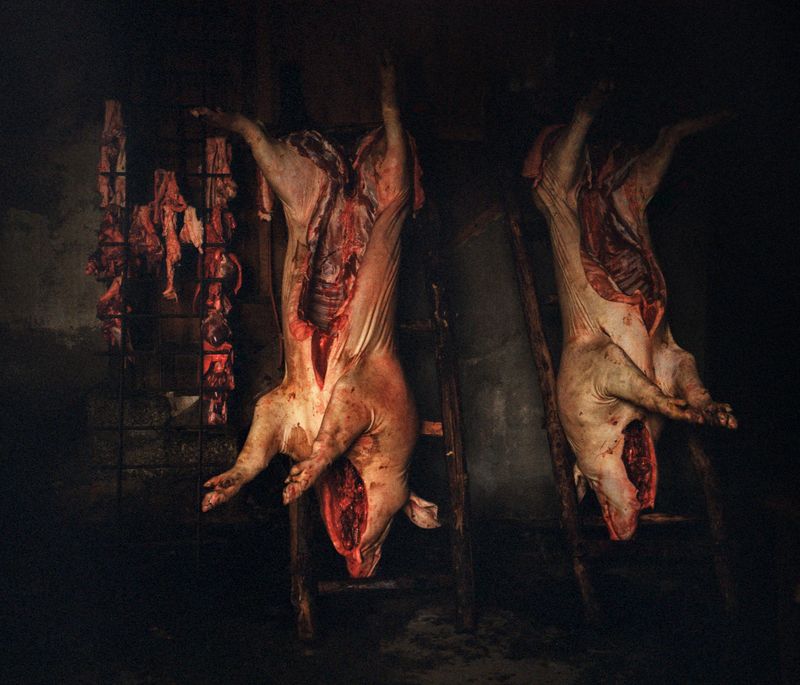 © Carlos Folgoso Sueiro - Image from the Alén do lago photography project