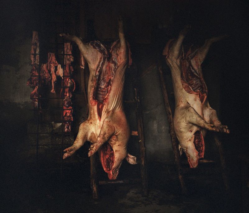 © Carlos Folgoso Sueiro - Image from the Alén do lago photography project