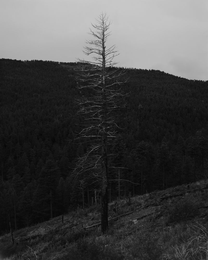 © Austin Quintana - Image from the Where the Valley Sings photography project