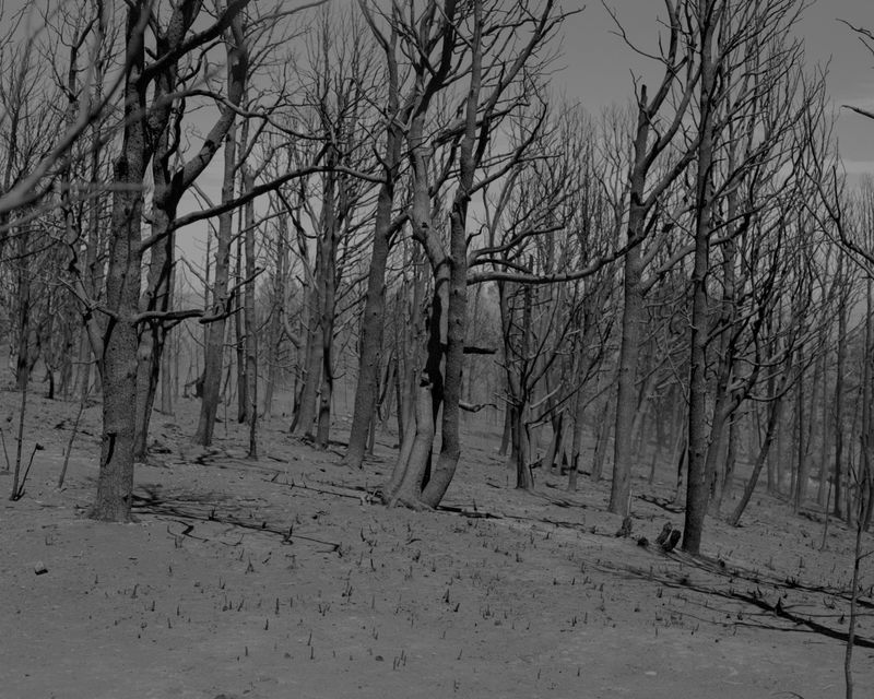 © Austin Quintana - Image from the Where the Valley Sings photography project