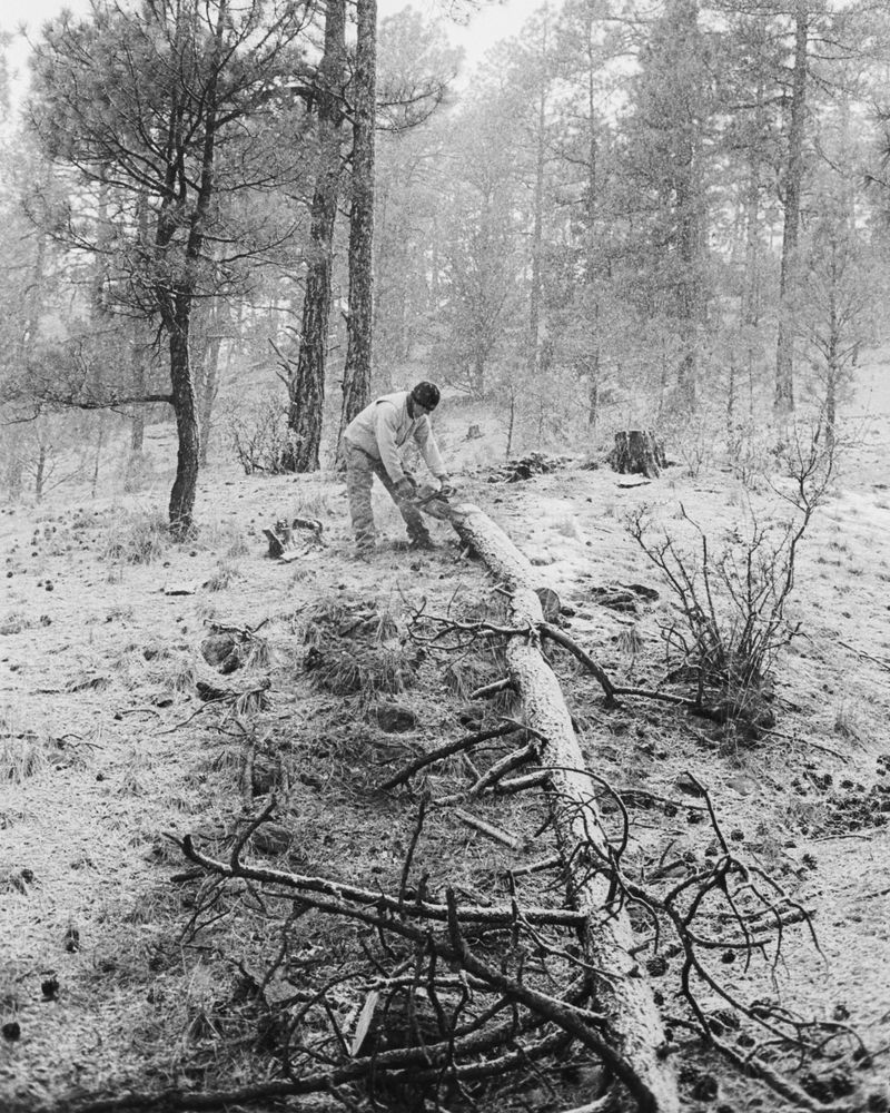 © Austin Quintana - Image from the Where the Valley Sings photography project