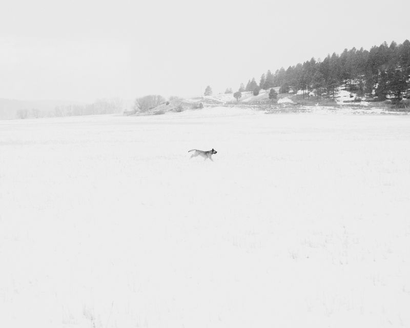 © Austin Quintana - Image from the Where the Valley Sings photography project