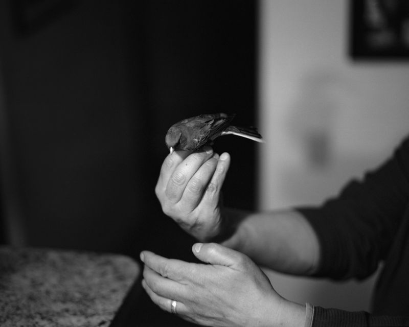 © Austin Quintana - Image from the Where the Valley Sings photography project