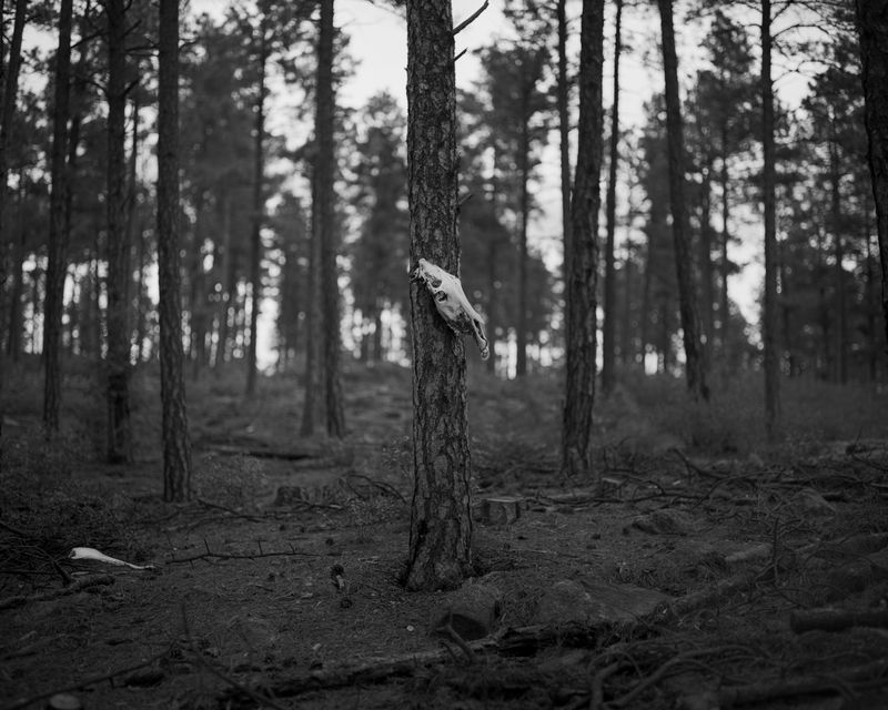 © Austin Quintana - Image from the Where the Valley Sings photography project