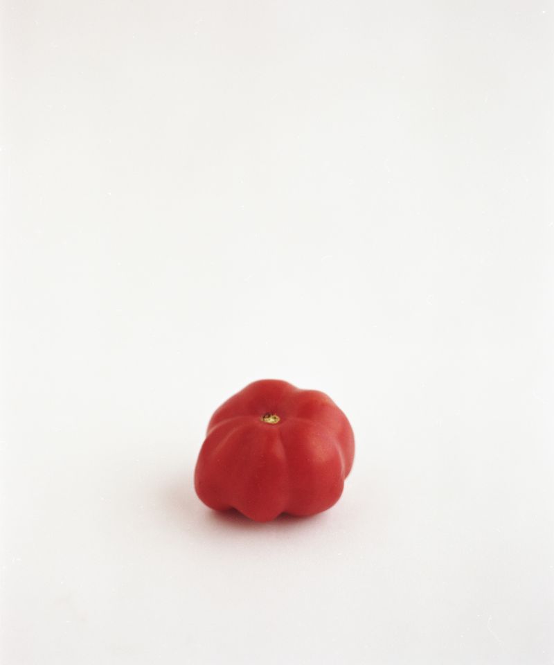 © Judit Bou Comas - Image from the TOMATOES photography project