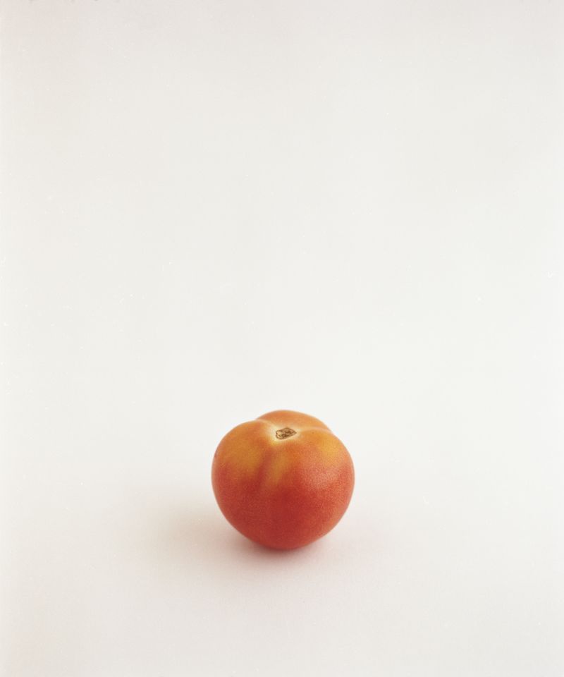 © Judit Bou Comas - Image from the TOMATOES photography project