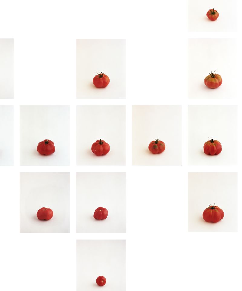 © Judit Bou Comas - Image from the TOMATOES photography project
