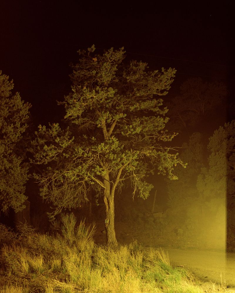 © Parker Bryant-Carty - Image from the Get On Deciding photography project