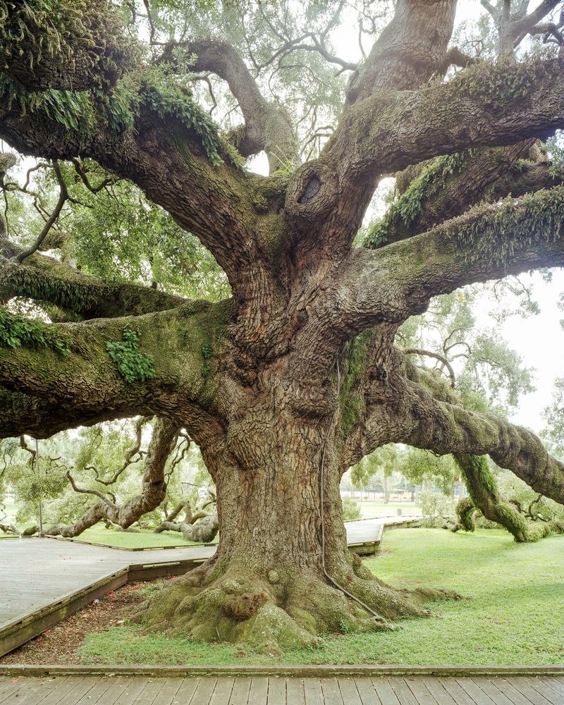 © Parker Bryant-Carty - Image from the Get On Deciding photography project