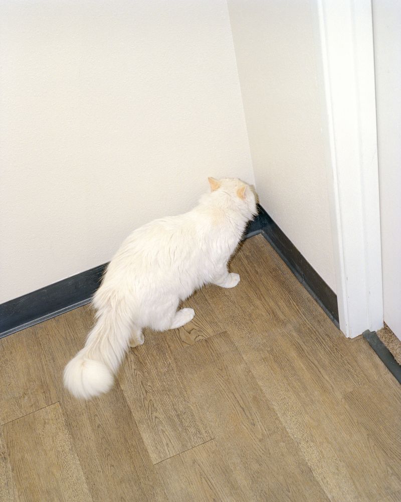 © Parker Bryant-Carty - Image from the Get On Deciding photography project