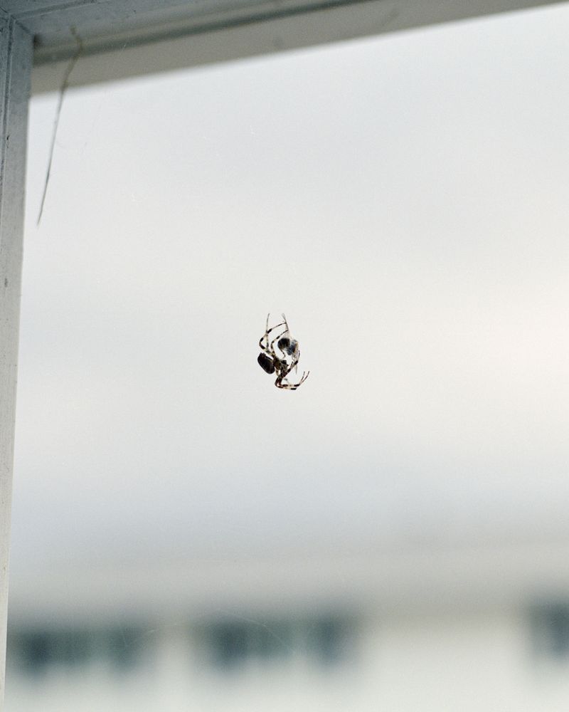 © Parker Bryant-Carty - Image from the Get On Deciding photography project