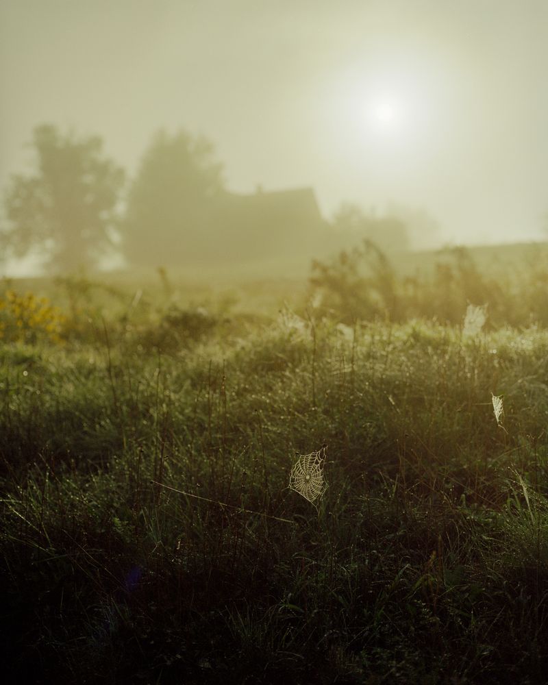 © Parker Bryant-Carty - Image from the Get On Deciding photography project