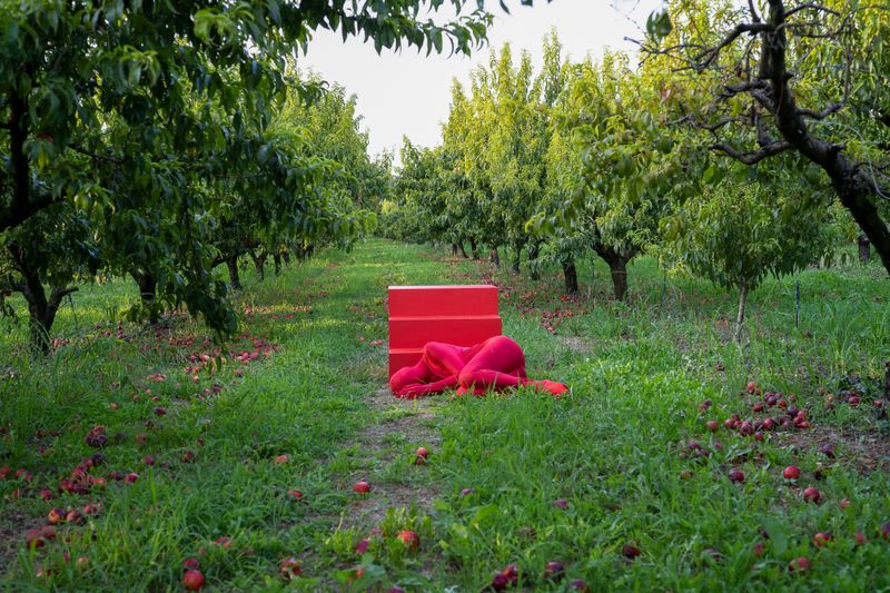 © Maica Gugolati - Casa/Portale 14