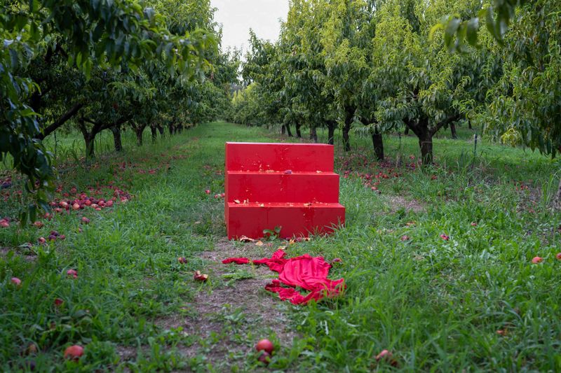 © Maica Gugolati - Casa/Portale 15