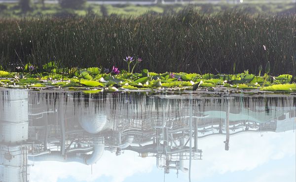 © Maica Gugolati - Image from the Floating Islands photography project