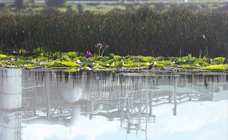 © Maica Gugolati - Image from the Floating Islands photography project