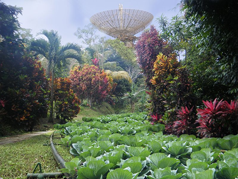 © Maica Gugolati - Image from the Floating Islands photography project