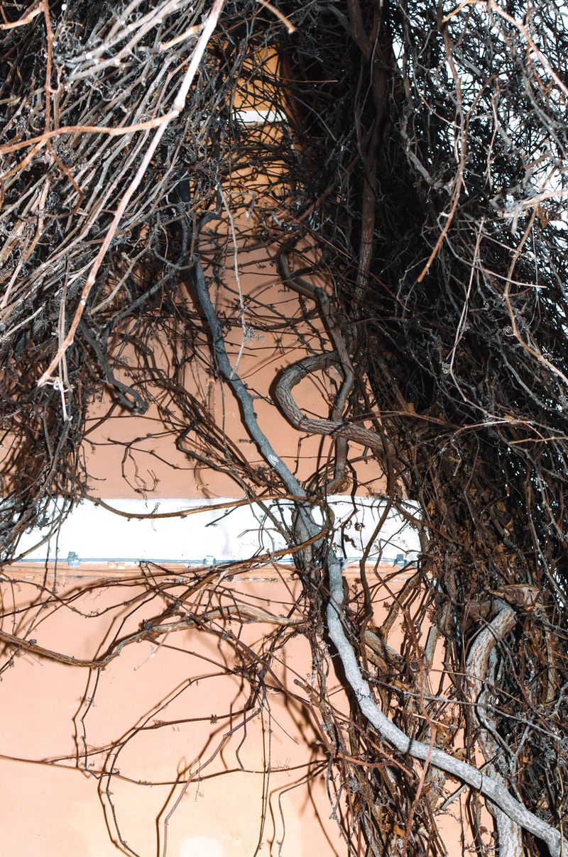 © Olimpia Piccolo - Image from the ALL GOOD AND VERY HAPPY? photography project