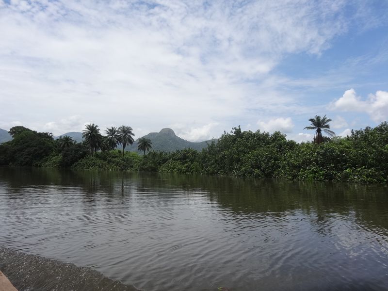 © Christopher FON ACHOBANG - Disappearing forests, Katsina Ala Basin