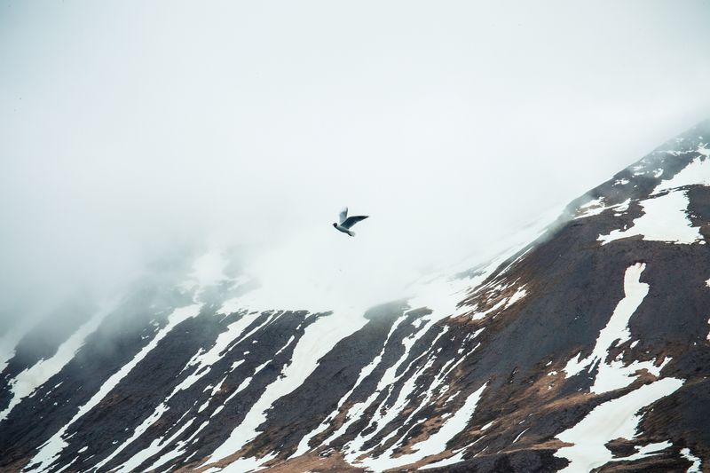 © Claudia Cuomo - Image from the The Ring - 2451 km of Iceland photography project