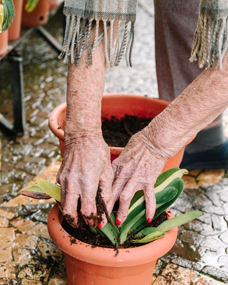 © Paula Abreu Pita - Image from the São Martinho 28 photography project