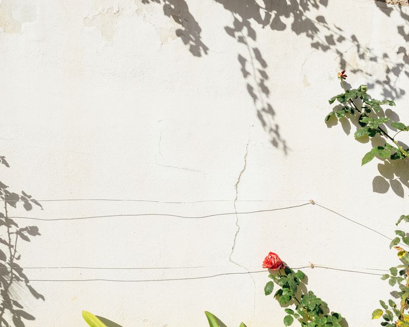 © Paula Abreu Pita - Image from the São Martinho 28 photography project