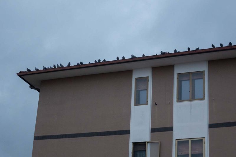 © Sara De Santis - Image from the Difesa Grande photography project