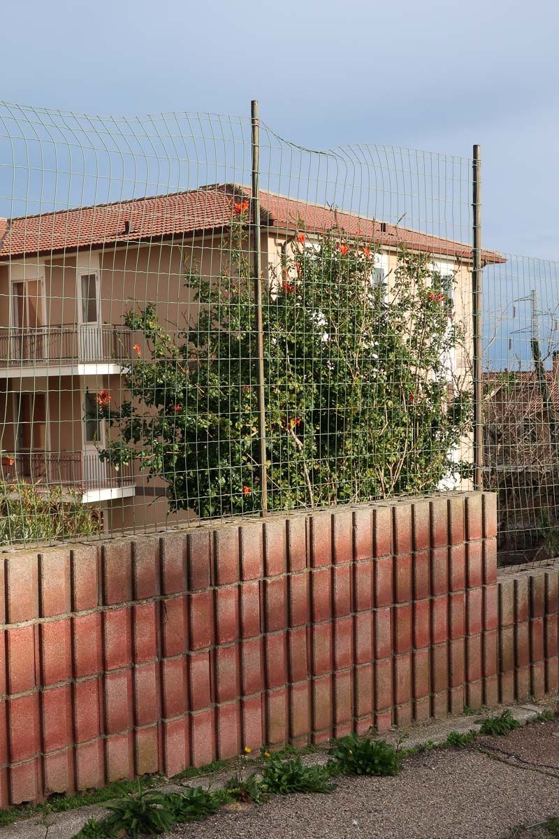 © Sara De Santis - Image from the Difesa Grande photography project