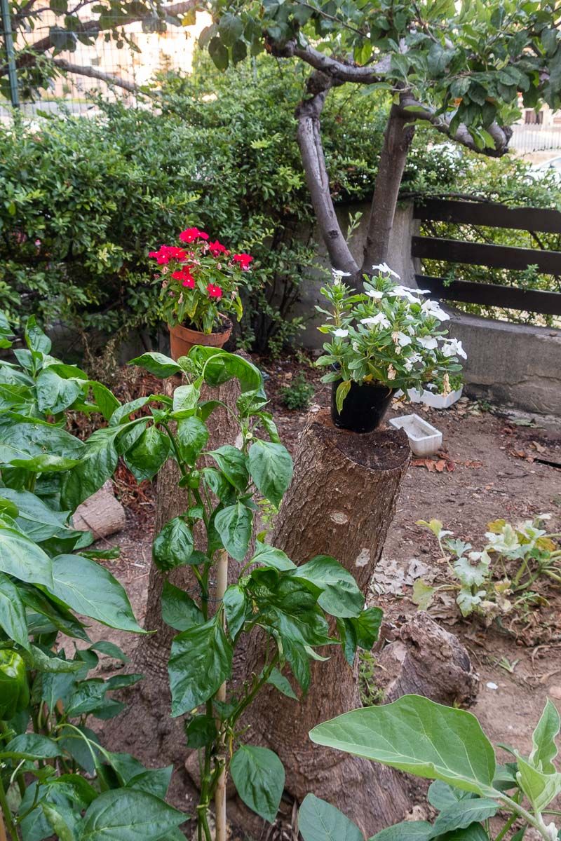 © Sara De Santis - Image from the Difesa Grande photography project