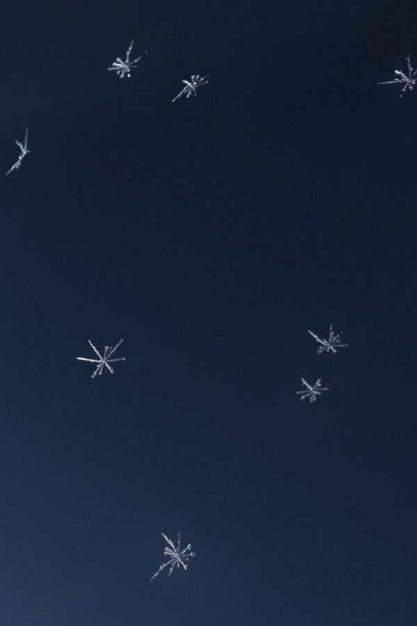 © Rosa Lacavalla - © Rosa Lacavalla