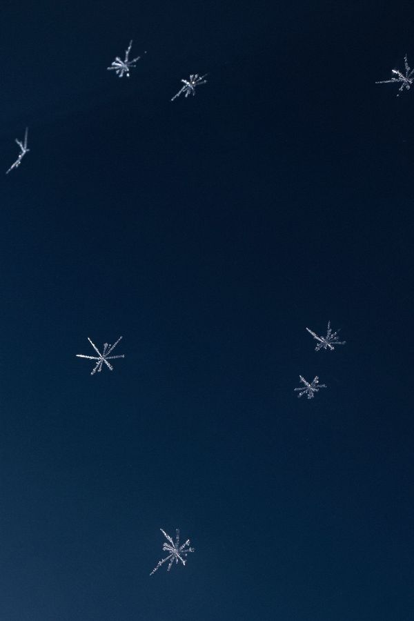 © Rosa Lacavalla - Image from the La Festa Dell'Equatore photography project