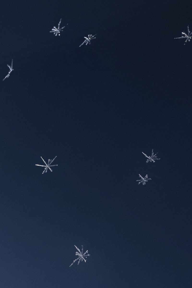 © Rosa Lacavalla - © Rosa Lacavalla