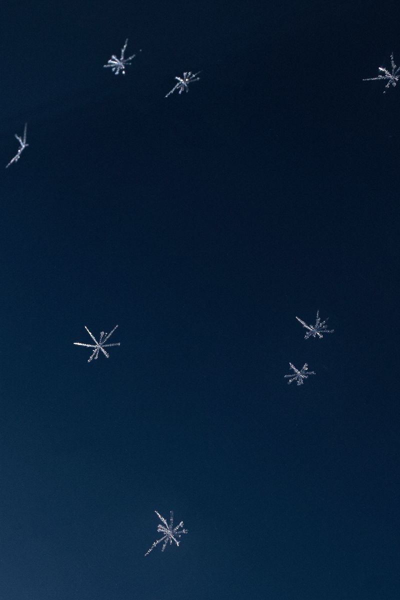 © Rosa Lacavalla - Image from the La Festa Dell'Equatore photography project