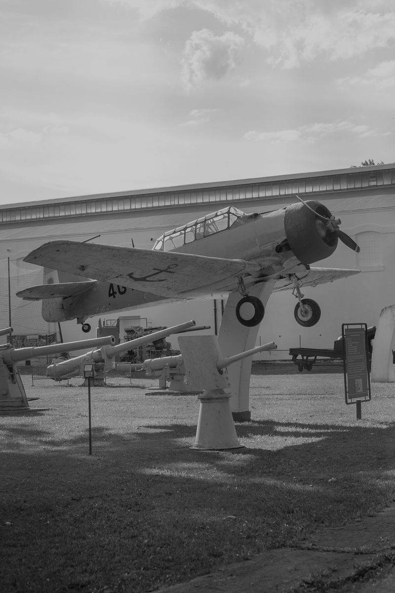 © Rosa Lacavalla - © Rosa Lacavalla