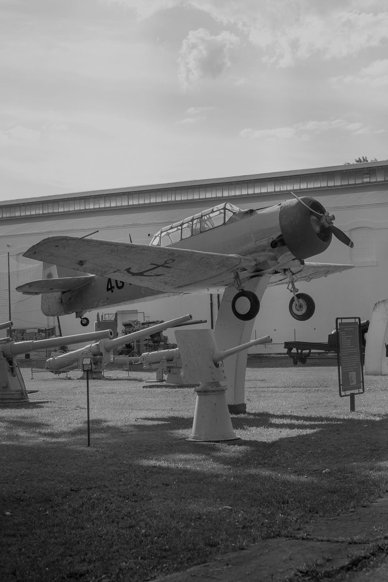 © Rosa Lacavalla - Image from the La Festa Dell'Equatore photography project