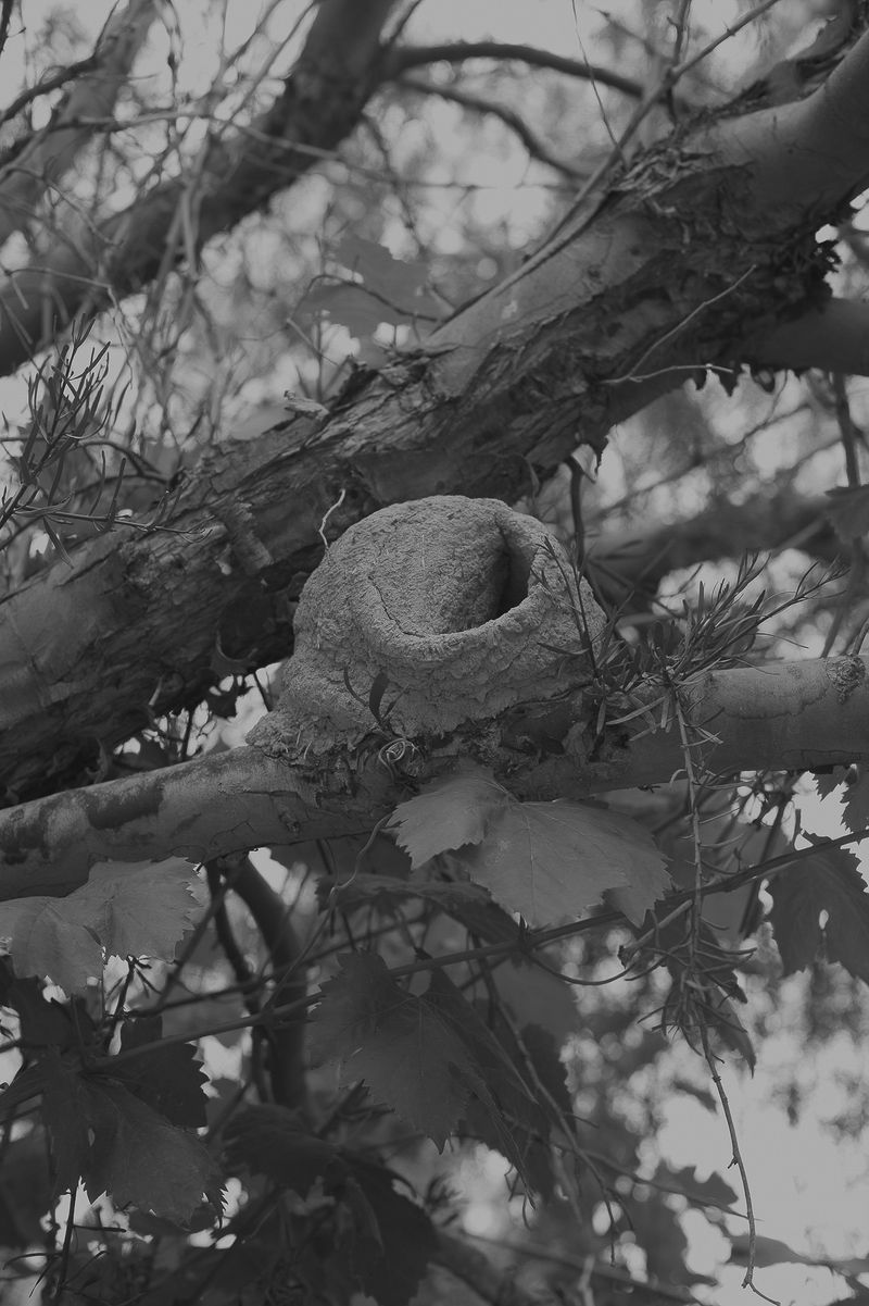 © Rosa Lacavalla - © Rosa Lacavalla