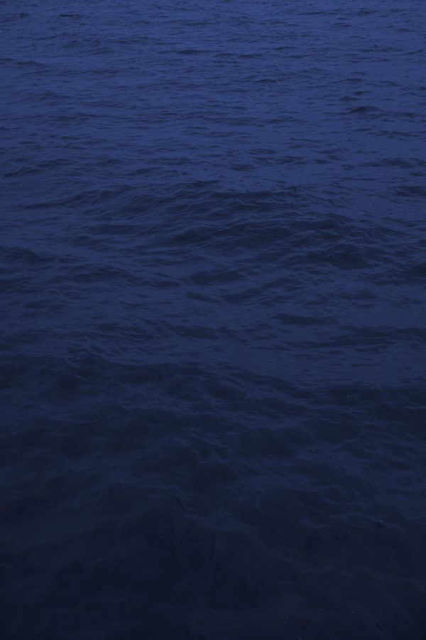 © Rosa Lacavalla - © Rosa Lacavalla