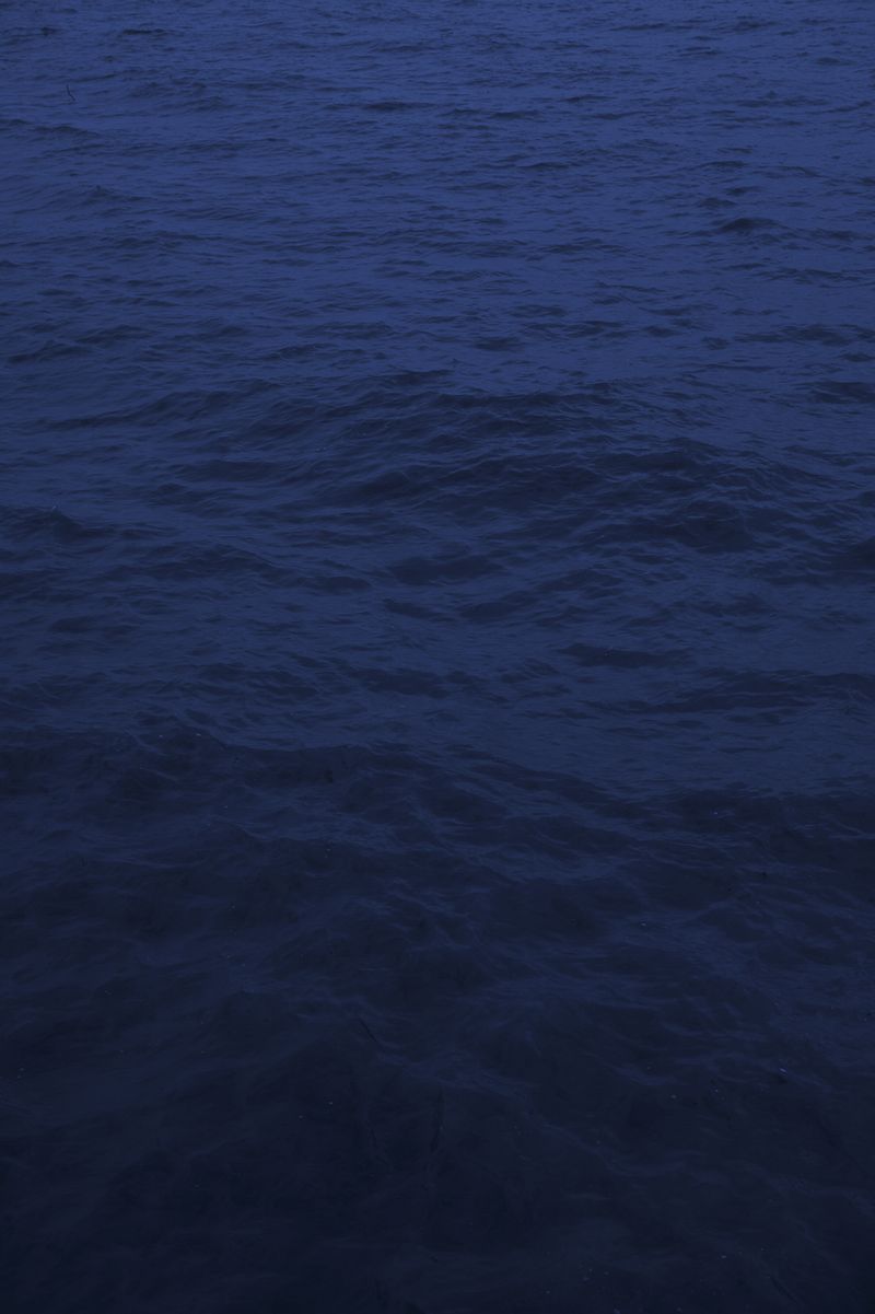 © Rosa Lacavalla - © Rosa Lacavalla