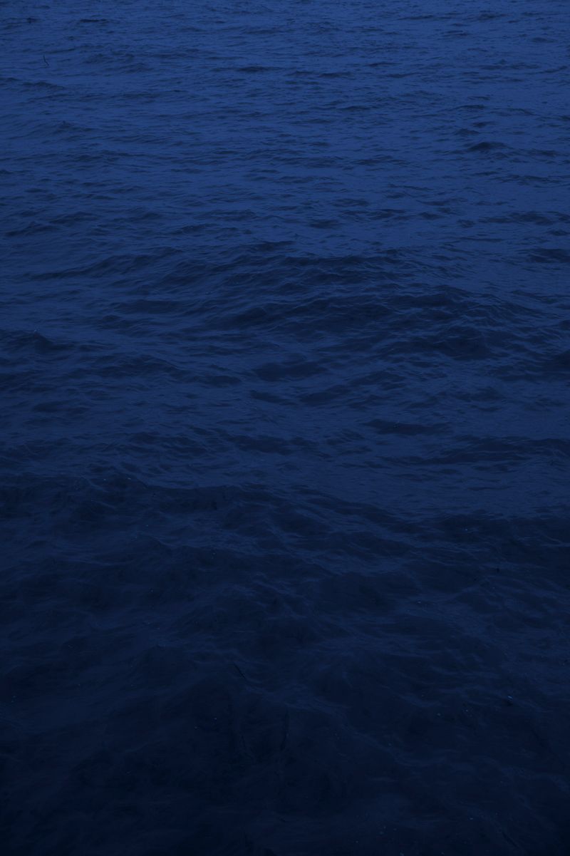 © Rosa Lacavalla - Image from the La Festa Dell'Equatore photography project