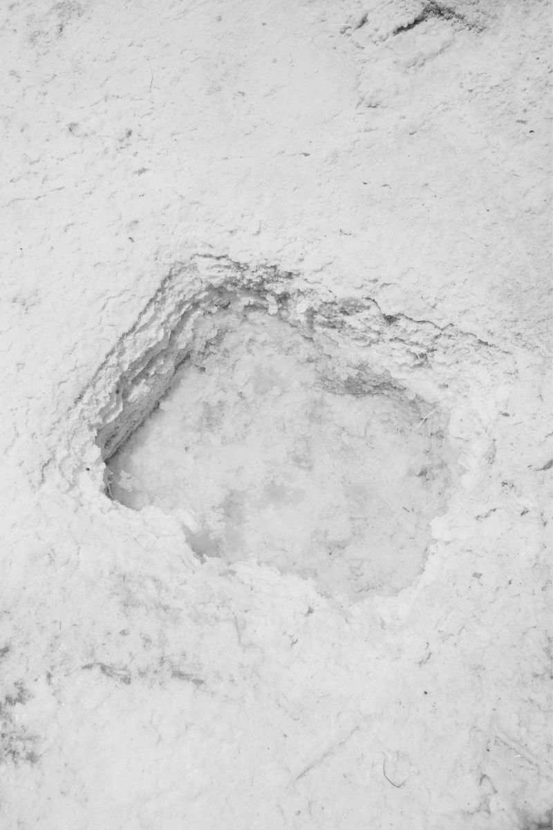 © Rosa Lacavalla - Image from the Sana Sana photography project