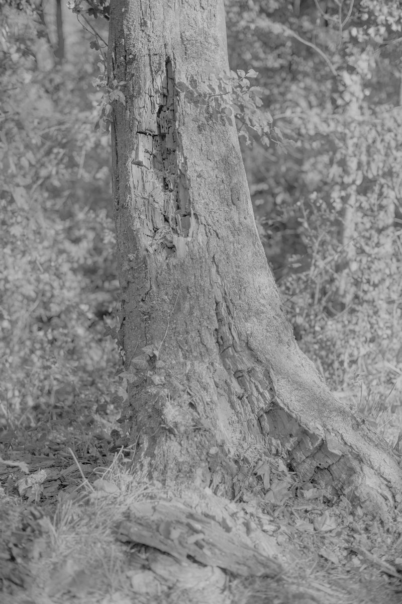 © Rosa Lacavalla - Image from the Sana Sana photography project