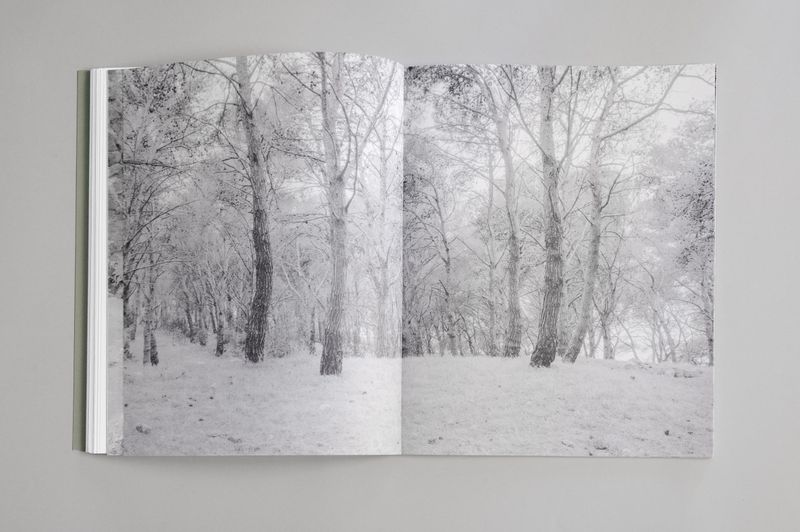 © Rosa Lacavalla - Image from the Sana Sana photography project