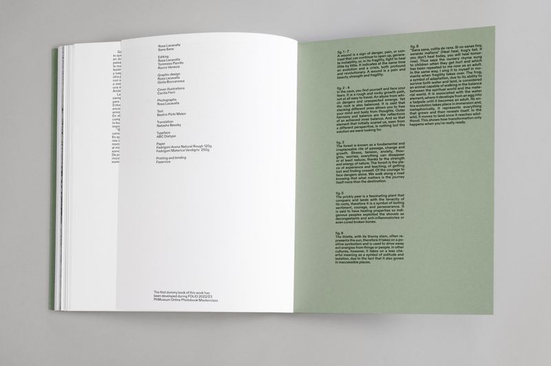 © Rosa Lacavalla - Image from the Sana Sana photography project