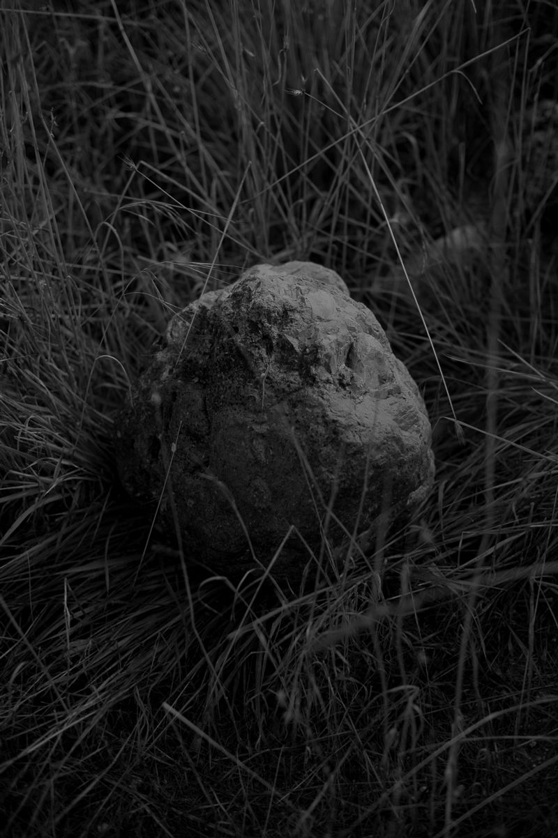 © Rosa Lacavalla - Image from the Sana Sana photography project