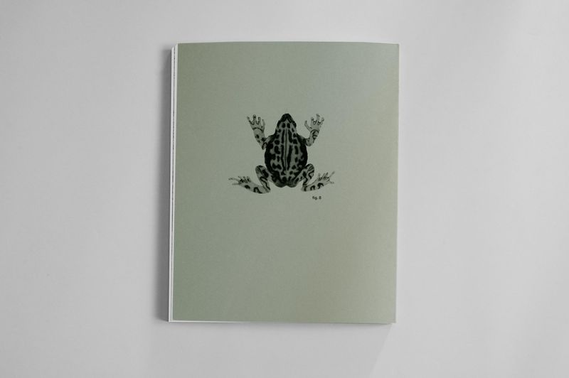 © Rosa Lacavalla - Image from the Sana Sana photography project