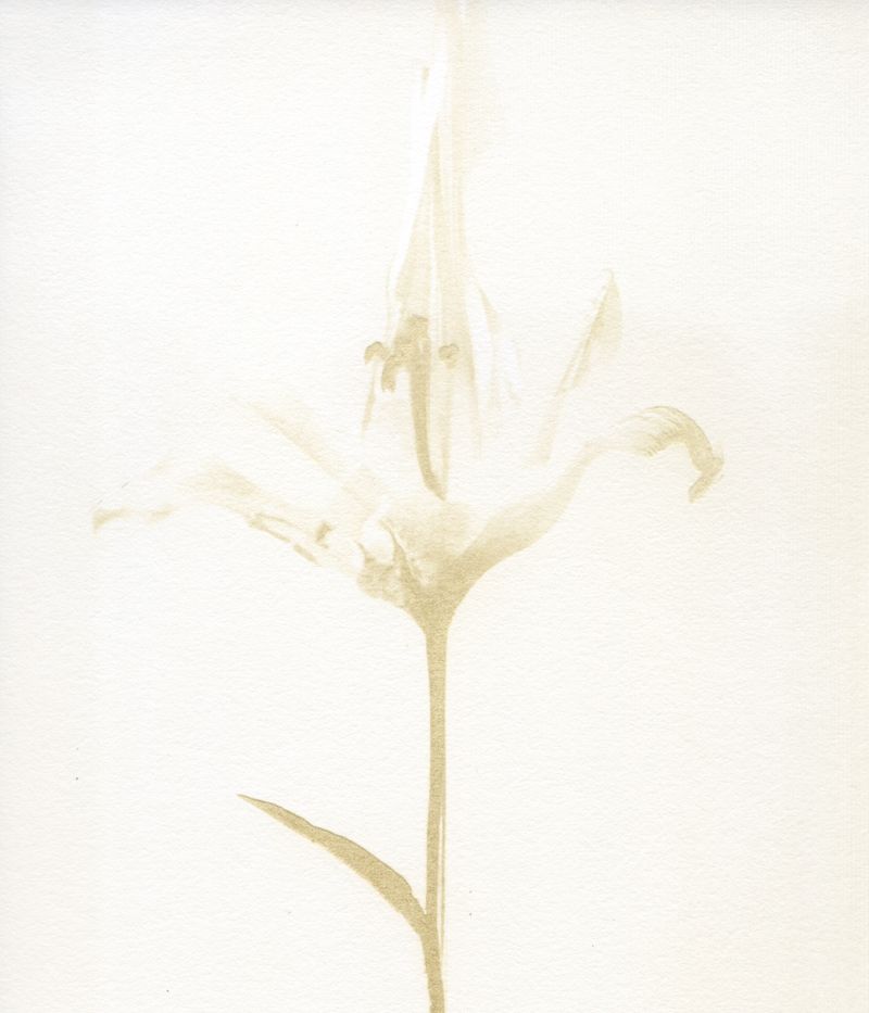 © Julia Albrecht - Image from the Silent Battles photography project